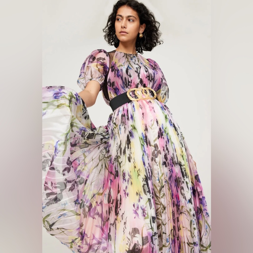 BIBHU mohapatra Organza Dress/ Size 4